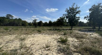 Vensac Terrain à bâtir - 2283812-10624annonce220250925cyBEK.jpeg Maisons France Confort