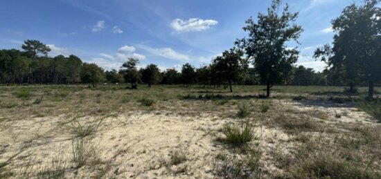 Terrain à bâtir à Vensac, Nouvelle-Aquitaine