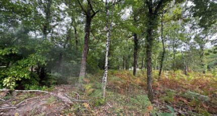 Grayan-et-l'Hôpital Maison neuve - 2328534-10624annonce120250910Bp2vi.jpeg Maisons France Confort