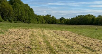 Saint-Germain-d'Esteuil Terrain à bâtir - 2328540-10624annonce1202506175OWOL.jpeg Maisons France Confort