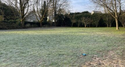 Baron Terrain à bâtir - 2294006-1691annonce120250218853SC.jpeg Maisons France Confort