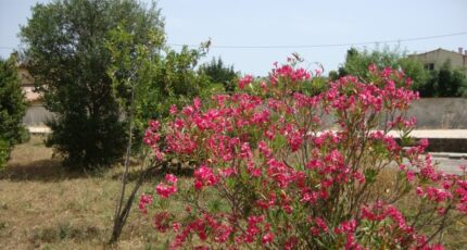 La Crau Maison neuve - 2328933-11080annonce120251105zWtsv.jpeg Maisons France Confort