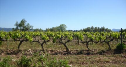 La Crau Terrain à bâtir - 2329043-11080annonce320251105t89FU.jpeg Maisons France Confort