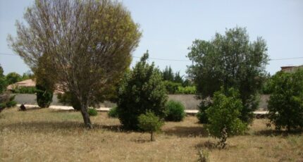 La Crau Terrain à bâtir - 2328912-11080annonce320251105QkBbp.jpeg Maisons France Confort