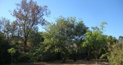 Cuers Maison neuve - 2329102-11080annonce3202511059dFAp.jpeg Maisons France Confort