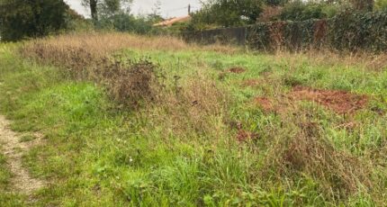 Blanquefort Maison neuve - 2224134-11016annonce120250715iykua.jpeg Maisons France Confort