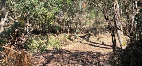 Terrain à bâtir à Andernos-les-Bains, Nouvelle-Aquitaine