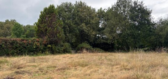 Terrain à bâtir à , Gironde
