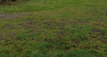 Sainte-Marie-de-Gosse Terrain à bâtir - 2329839-11650annonce120251106woFql.jpeg Maisons France Confort