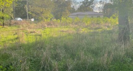 Le Barp Maison neuve - 2288071-11016annonce220250930XolCu.jpeg Maisons France Confort