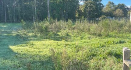 Le Taillan-Médoc Maison neuve - 2330128-11016annonce120251106PsQIg.jpeg Maisons France Confort