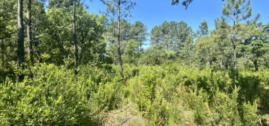 Terrain à bâtir à Le Barp, Nouvelle-Aquitaine
