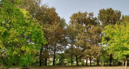 Le Taillan-Médoc Terrain à bâtir - 2330438-1686annonce120251106F2iEZ.jpeg Maisons France Confort