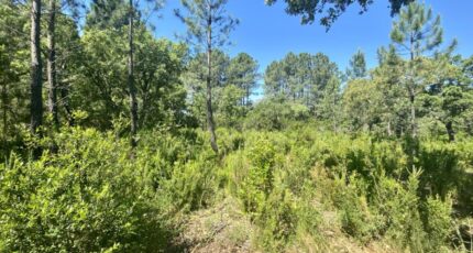 Le Barp Maison neuve - 2330432-11071annonce1202511060BILT.jpeg Maisons France Confort