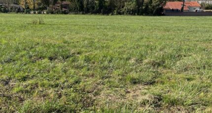 Albi Terrain à bâtir - 2329587-2684annonce220251106rRa2J.jpeg Maisons France Confort