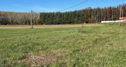 Albi Maison neuve - 2329625-2684annonce120251106XU87R.jpeg Maisons France Confort