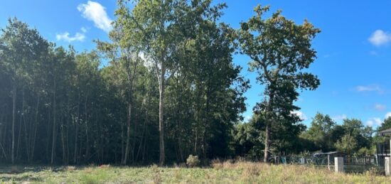 Terrain à bâtir à , Gironde