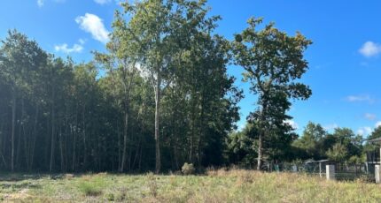 Le Taillan-Médoc Maison neuve - 2330605-11071annonce220251106hfdAC.jpeg Maisons France Confort