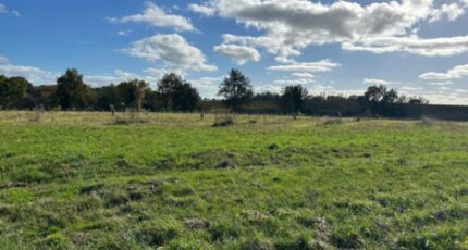 Saint-Selve Terrain à bâtir - 2326582-11306annonce120251103XrTeu.jpeg Maisons France Confort