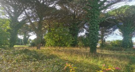 Langon Maison neuve - 2325933-9573annonce120251103zpWI6.jpeg Maisons France Confort