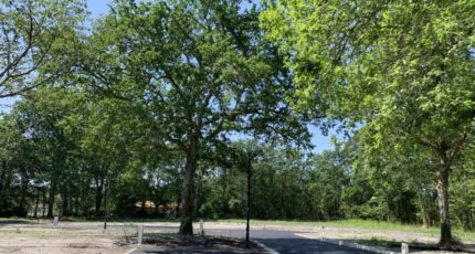 Saint-Aubin-de-Médoc Maison neuve - 2331368-11071annonce1202511067pcdg.jpeg Maisons France Confort