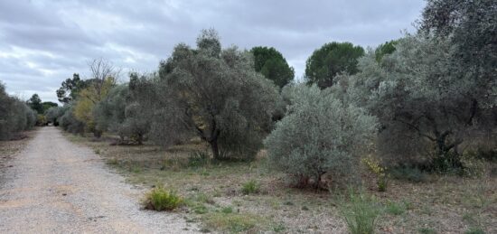 Terrain à bâtir à Ceyras, Occitanie