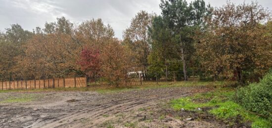Terrain à bâtir à Le Taillan-Médoc, Nouvelle-Aquitaine