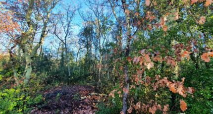 Labastide-de-Virac Maison neuve - 2332153-5100annonce220251107QJ6Ro.jpeg Maisons France Confort