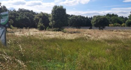 Châteauneuf-de-Gadagne Terrain à bâtir - 2332386-695annonce320251107kWc1T.jpeg Maisons France Confort