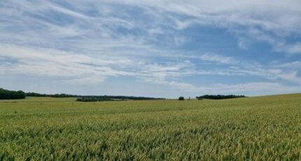 Saint-Fuscien Maison neuve - 2331464-11571annonce120251107nhM3y.jpeg Maisons France Confort