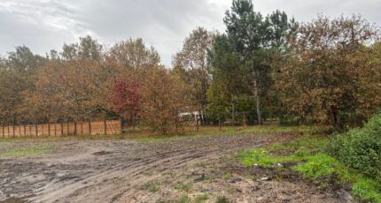 Le Taillan-Médoc Maison neuve - 2332709-1093annonce1202511073kVN7.jpeg Maisons France Confort