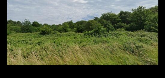 Terrain à bâtir à Campugnan, Nouvelle-Aquitaine