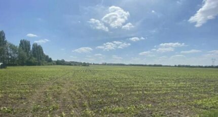 Auby Maison neuve - 2328165-11632annonce120251104CpIv6.jpeg Maisons France Confort