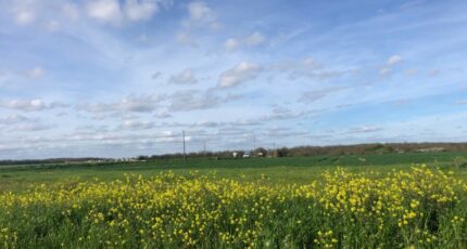 Bourgneuf Maison neuve - 2333376-9644annonce1202511100duWr.jpeg Maisons France Confort