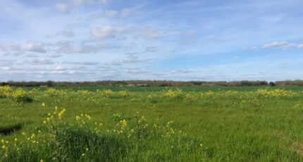 Bourgneuf Terrain à bâtir - 2333307-9644annonce320251110PcUUw.jpeg Maisons France Confort