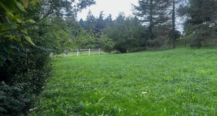 Libourne Maison neuve - 2333415-10947annonce120250523ZJ31w.jpeg Maisons France Confort