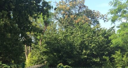 Mérignac Terrain à bâtir - 2334381-1093annonce220251111dZnDb.jpeg Maisons France Confort