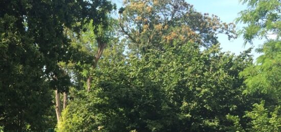 Terrain à bâtir à Mérignac, Nouvelle-Aquitaine