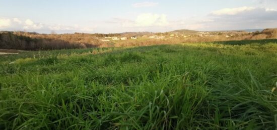 Maison neuve à , Dordogne