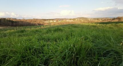 Antonne-et-Trigonant Maison neuve - 2274244-11235annonce220250917m0KZc.jpeg Maisons France Confort