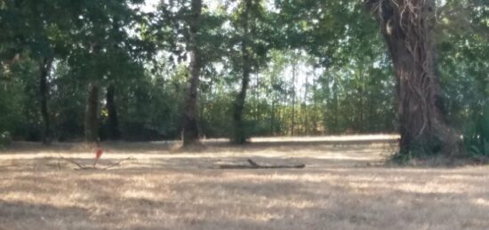 Terrain à bâtir à Brax, Occitanie