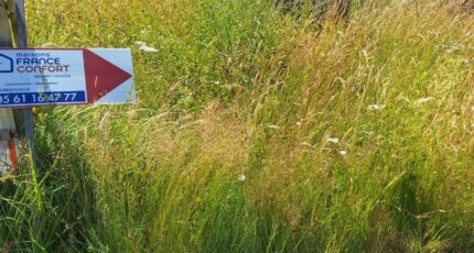 Fontenilles Terrain à bâtir - 2300714-9555annonce220251010yvQtt.jpeg Maisons France Confort