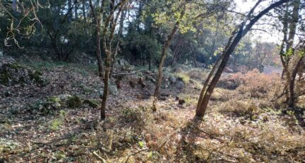 Tourves Maison neuve - 2271826-11137annonce420250117uTzwN.jpeg Maisons France Confort