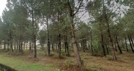 Andernos-les-Bains Maison neuve - 2334950-10481annonce120240830SITTB.jpeg Maisons France Confort