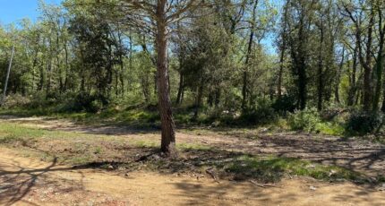 Méounes-lès-Montrieux Terrain à bâtir - 2266344-5622annonce120250910GGdLc.jpeg Maisons France Confort