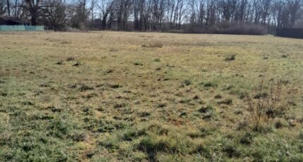 Galgon Terrain à bâtir - 2335339-1686annonce1202509095f5JM.jpeg Maisons France Confort