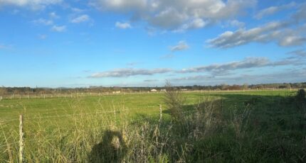 Saint-Christoly-de-Blaye Terrain à bâtir - 2327884-11265annonce120251104GD4Bg.jpeg Maisons France Confort