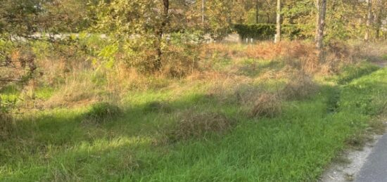 Terrain à bâtir à Margaux, Nouvelle-Aquitaine