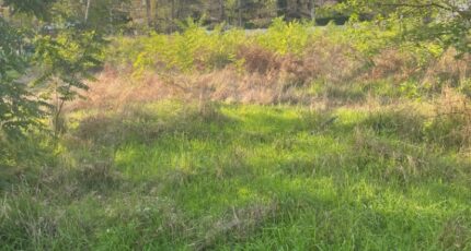 Castelnau-de-Médoc Maison neuve - 2288302-11016annonce120250930gDUso.jpeg Maisons France Confort