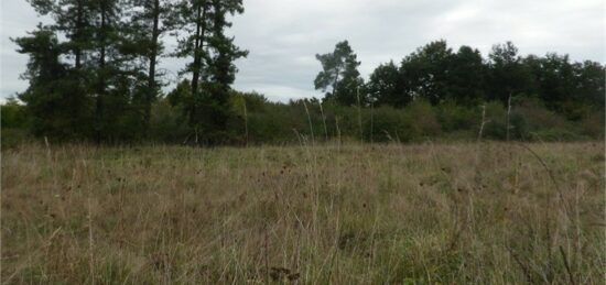 Terrain à bâtir à Libourne, Nouvelle-Aquitaine
